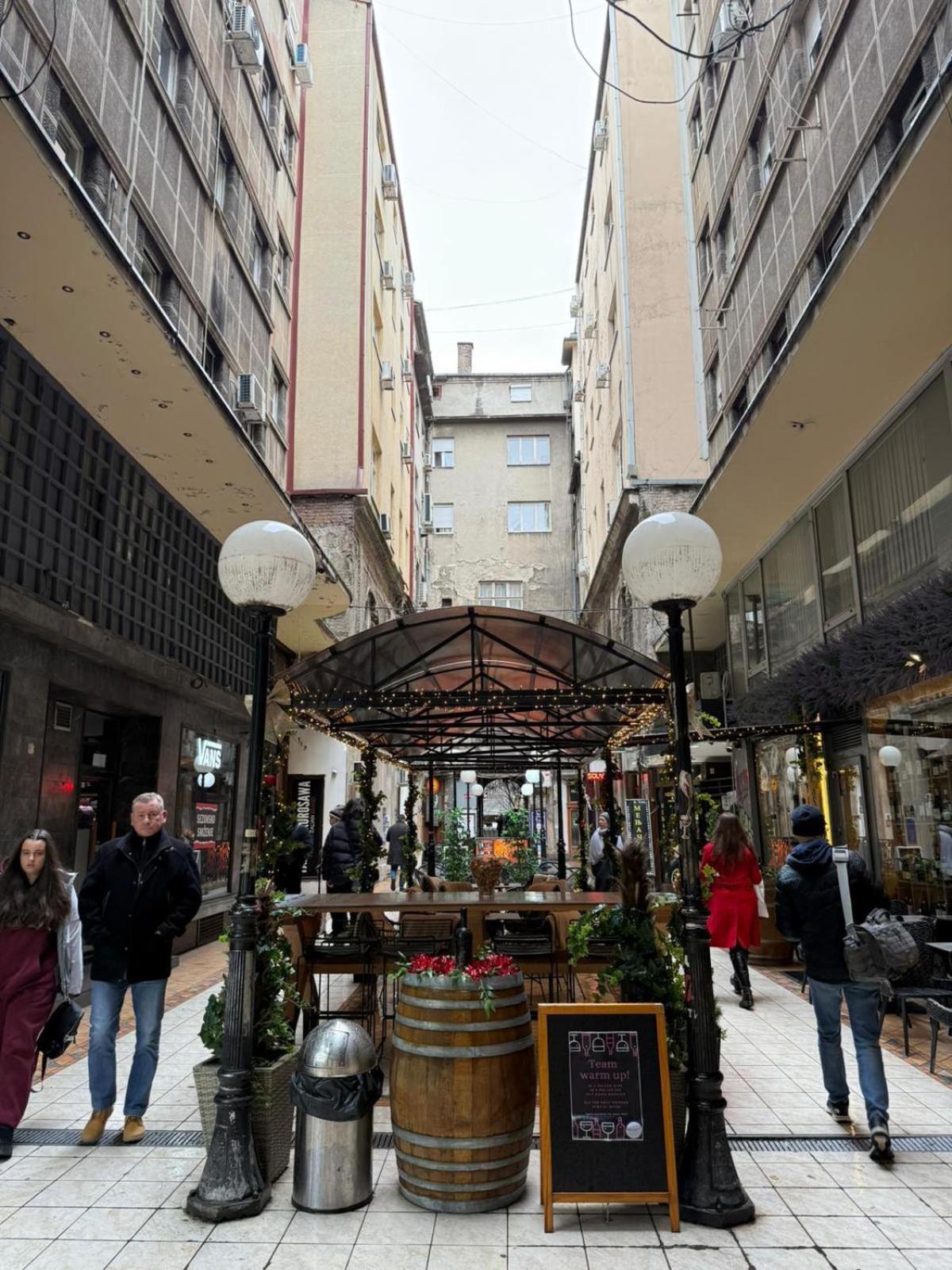 בלגרד Knez Mihailova Apartment, City Center מראה חיצוני תמונה